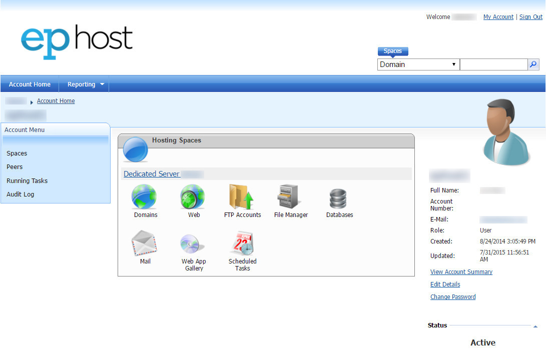 windows hosting website panel